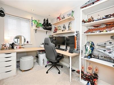 Picture 23